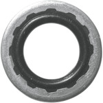 Magnum 3/8" Banjo Washers (10 Pack) (1742)