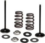 Kibblewhite Intake Stainless Conversion Valve and Spring Kit (96-96540)