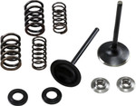 Kibblewhite Intake Stainless Conversion Valve and Spring Kit (30-33250)