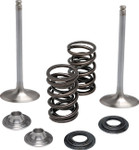 Kibblewhite Intake Stainless Conversion Valve and Spring Kit (40-41650)