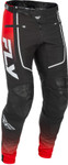 Fly Racing Rayce Mens MTB Mountain Bike Pants