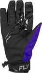 Fly Racing Title Mens Snow Gloves