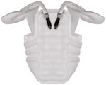 Alpinestars Tech-Air 5 System