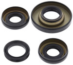 All Balls Front Differential Seal Kit (25-2006-5)