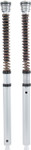 Ohlins 30mm Front Fork Cartridge Kit (FGK 239)