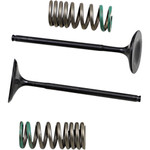 Pro-X Steel Intake Valve & Spring Kit (28.SIS1340-2)