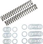 Race Tech Fork Springs | 1.10 kg/mm (FRSP S3825110)