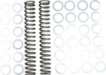 Race Tech Fork Springs | 1.20 kg/mm (FRSP S3825120)