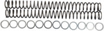 Race Tech Fork Springs | 0.48 kg/mm (FRSP 434648)