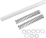 Race Tech Fork Springs | 1.00 kg/mm (FRSP S4430100)