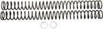 Race Tech Fork Springs - 0.38 kg/mm (FRSP 444938)