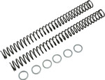 Race Tech Fork Springs | 0.46 kg/mm (FRSP 435146)
