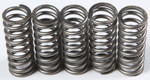 EBC CSK Clutch Spring Set (CSK214)