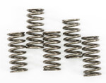 EBC CSK Clutch Spring Set (CSK237)