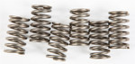 EBC CSK Clutch Spring Set (CSK129)