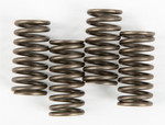EBC CSK Clutch Spring Set (CSK150)