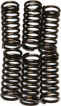 EBC CSK Clutch Spring Set (CSK96)