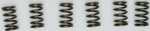 EBC CSK Clutch Spring Set (CSK171)
