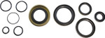 Vintco Engine Oil Seal Kit - Kawasaki KX250 1978-1979 (KOS016)