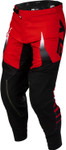 Fly Racing Evolution DST Bolt Mens MX Offroad Pants