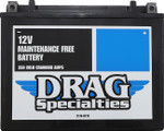 Drag Specialties AGM Maintenance Free Battery YTX24HLBS (2113-0212)