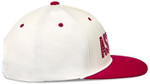 Alpinestars Stadium Snapback Hat