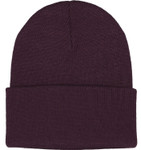 FXR Victory Beanie Hat