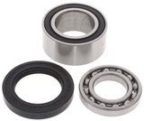 All Balls Chain Case Bearing & Seal Kit (14-1010)