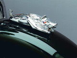 Kuryakyn Wild Boar Chrome Fender Ornament (9022)
