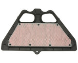 HiFlo OE Replacement Air Filter (HFA2922)