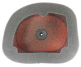 Twin Air Backfire Replacement Air Filter (156015FR)
