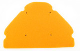 Twin Air Pre-Oiled Backfire Foam Air Filter (158576FRX)