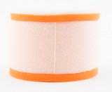 Twin Air Dual Stage Foam Air Filter (153900)