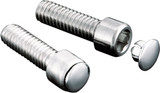 Kuryakyn Custom Hot Spots Allen 3/8" End Plug (8120)