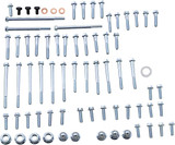 Bolt 2-Stroke Engine Fastener Kit (E-C2-8691)