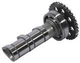 Hot Cams Stage 3 Intake Camshaft (4302-3IN)