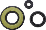 Vertex Engine Oil Seal Kit (55199)