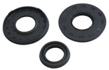 Vertex Crankshaft Oil Seal & Spring Kit (622116)