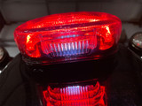 Custom Dynamics ProBeam Low Profile Taillight w/ Bottom Window (PB-TL-LPBW-R)