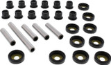 Moose Rear Independent Suspension Kit (0430-1179)