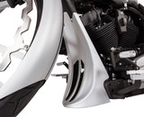 Trask Raked Chin Spoiler Frame Cover (TM-2099)