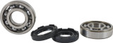 Vintco Main Bearing and Seal Kit (KMB029)