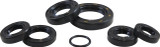 Vintco Engine Oil Seal Kit - Honda CR125R 1979 (KOS002)
