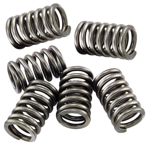 EBC CSK Clutch Spring Set (CSK6)