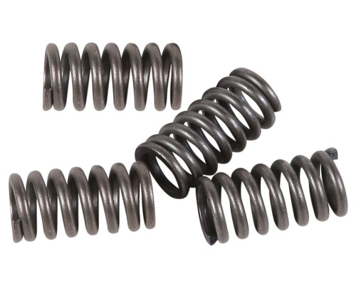 EBC CSK Clutch Spring Set (CSK12)