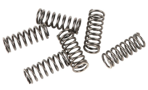 EBC CSK Clutch Spring Set (CSK122)