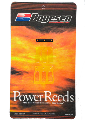 Boyesen Dual Stage Fiberglass Power Reeds (673)