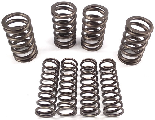 Andrews High Lift Valve Spring Kit (294150)