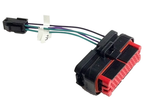 Hogtunes Rear Speaker Plug (RR PLUG-AA)