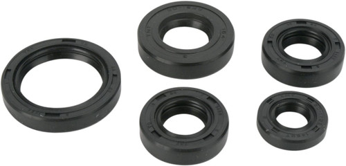 Moose Complete Engine Oil Seal Kit (0935-0380)